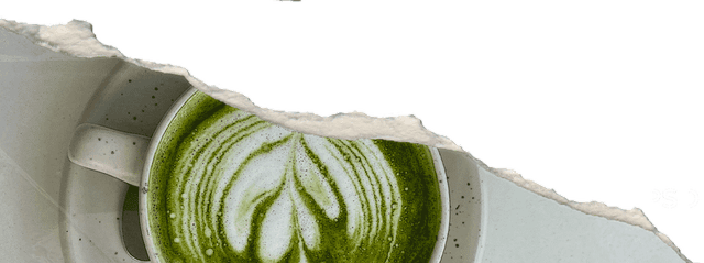 Matcha latte horeca — Baristocrats matcha branding en design